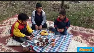 temiz havada piknik