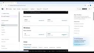 Installing Terraform on Windows 11