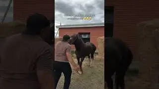 🤣🤣🤣🦿