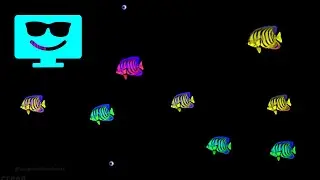 Screensaver 4K 12 hours (Background) Colorful Fish in Aquarium [With Bubbles Sound]