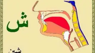 Prononciation de l'Alphabet Arabe.flv