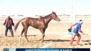 Нешуточные страсти в байге. Кони падают от бессилия.