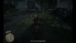 Red Dead 2 Online COWBOY TIME