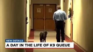 A day in the life of a K9 queue