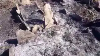 Manavgat'ta mezarlıkları yaktılar