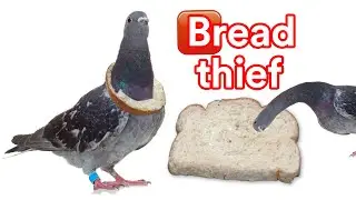 Ｂｒｅａｄ