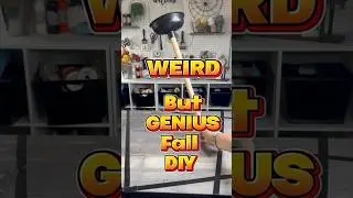 Weird But Genius Fall DIY #diy #fall #dollartreediy #shortsvideo #shorts