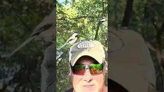 I like birds! Upper Canada Migratory Bird Sanctuary.