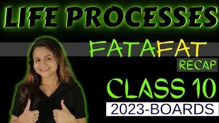 LIFE PROCESSES IN 30 MINS | CLASS 10 SCIENCE | FATAFAT RECAP | Krushi mam 