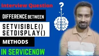 2 - ServiceNow Interview Question - Difference Between setVisible and setDisplay Methods