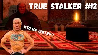 ЖЕСТКИЙ ДВИЖ В ДОЛИНЕ! (Прохождение True Stalker #12)