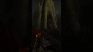 ВЕЗЕНИЕ НА ЛЮК В 