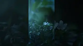 Саблиминал на деньги и изобилие 