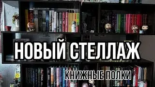 Новый стеллаж + мини-обзор на книжные полки📚