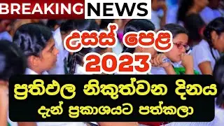 AL 2023 Results Issuing Date | 2023 AL Results Release date