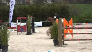 Leontine Ledimar Z et Patrice Delaveau - Auvers Grand National