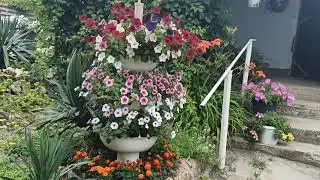 Трëхъярусная вертикальная клумба из старых тазов, цветение в июне.