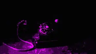 (FNAF) Michael Afton Monologue