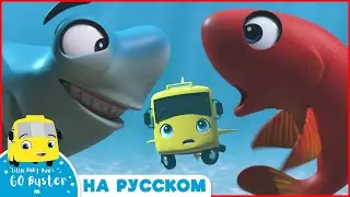Бастер и Рыбы! | 