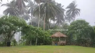 Rain in a small village of Thailand