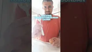 HAŞLANMIŞ YUMURTAYI KABUĞUNDAN PRATİK ŞEKİLDE ÇIKARMA #shortvideo