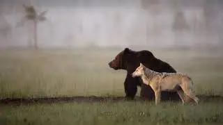 Bad Game