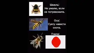 Слава императору!