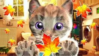 Animated Little Kitten Adventure of a SCHOOL - Preschool and kindergarten learning Cartoon for kids