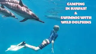 Beach Camping & Dolphin Swim in Hawaii