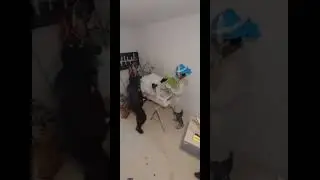Роди на будівництві- це відповідально