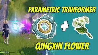 Parametric Transformer & Qingxin Flower | Genshin Impact