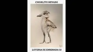 BAJA Única LOTERIA DE ENSENADA BAJA CALIFORNIA