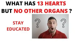 10 Tricky Riddles | Part 2