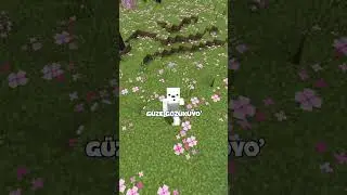 minecraft'ta bundle işe yaramaz 📦