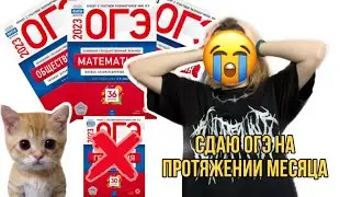 Как я сдавала ОГЭ: переживания и сомнения