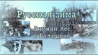 Русская зима. Russian winter. Зимний лес в Балашихе.