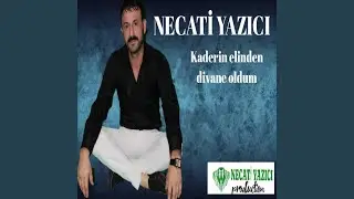 Kaderi̇n Eli̇nden Di̇vane Oldum