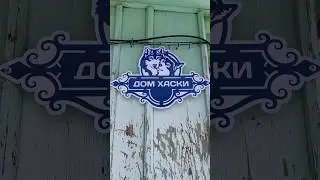 💙Наш питомник Дом Хаски❤️| Добро пожаловать 🤗