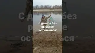 С донкой без рыбы не останешься