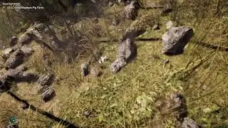 Typical Audi Drivers - Far Cry 5