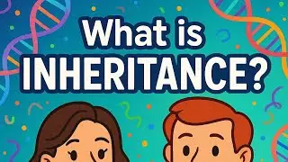 What is Inheritance? | Genetics Explained Simply ( part 1)