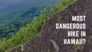 How to Hike Pu’u Ohulehule (Southeast Ridge), the Scariest Hike in Oahu!