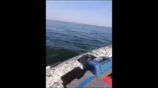 15.06.2024г.