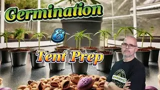 Germinating Seeds & Prepping the Grow Tent #marshydro #ts1000 #fce3000 #vg80