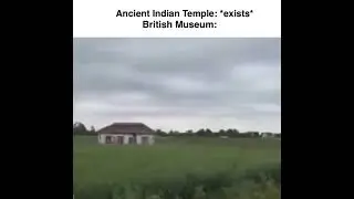 55368522