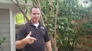 How estimate a new landscape bed