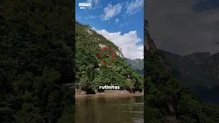 Risking Their Lives Every Day! Watch How They Cross! 😱