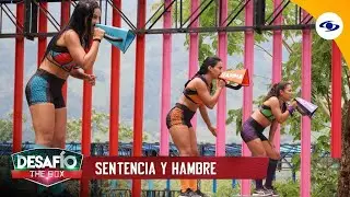 The Box Challenge 2022: Blindfolded, teams face off in the Sentence and Hunger Challenge