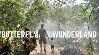 Day trip in Phoenix : Family Vlog