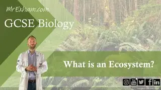 What is an ecosystem? - GCSE Biology (9-1) - 9.1